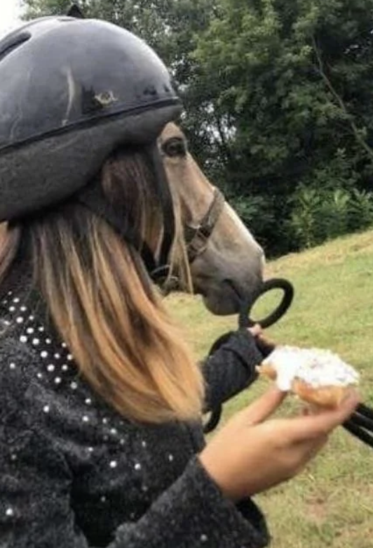 Person with horse head wearing a helmet and holding a pastry, standing outdoors in a grassy area