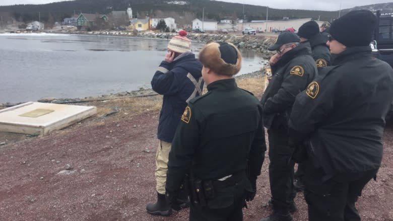 Trapped dolphins' escape from Heart's Delight harbour hinges on wind changing