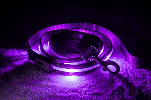 69) Safety LED Dog Leash