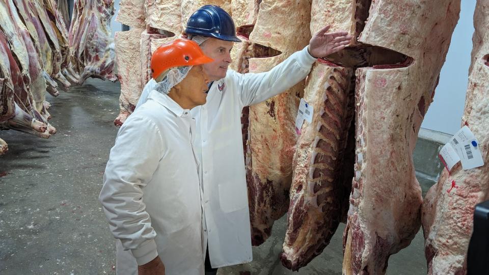 About 60 per cent of the beef processed at the ABP stays in Atlantic Canada, with most of the remaining 40 per cent going to Ontario and Quebec and only a small portion exported to the U.S.   (Ken Linton/CBC - image credit)