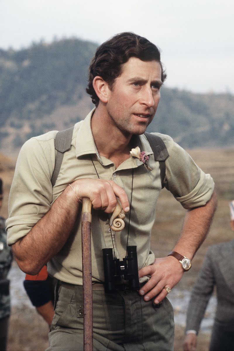 4) Prince Charles young style - Khaki dreams