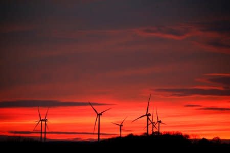 FILE PHOTO: Power-generating windmill turbines are pictured at sunset at a wind park in Moeuvres near Cambrai, France, November 12, 2018. REUTERS/Pascal Rossignol