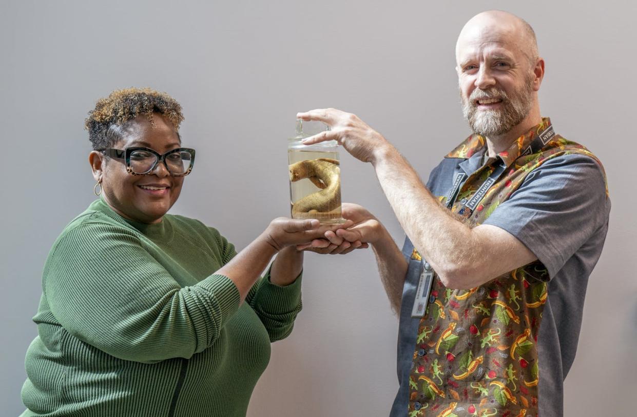 Zoologist Elizabeth Morrison receives the Jamaican giant galliwasp from Mike Rutherford, a curator at the University of Glasgow, on April 22, 2024. <a href="https://www.gettyimages.com/detail/news-photo/zoologist-elizabeth-morrison-from-the-institute-of-jamaica-news-photo/2148004921" rel="nofollow noopener" target="_blank" data-ylk="slk:Jane Barlow/PA Images via Getty Images;elm:context_link;itc:0;sec:content-canvas" class="link ">Jane Barlow/PA Images via Getty Images</a>