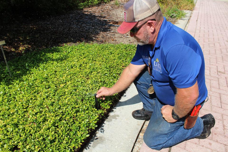 Perform a monthly irrigation check to identify clogged spray heads and leaks.