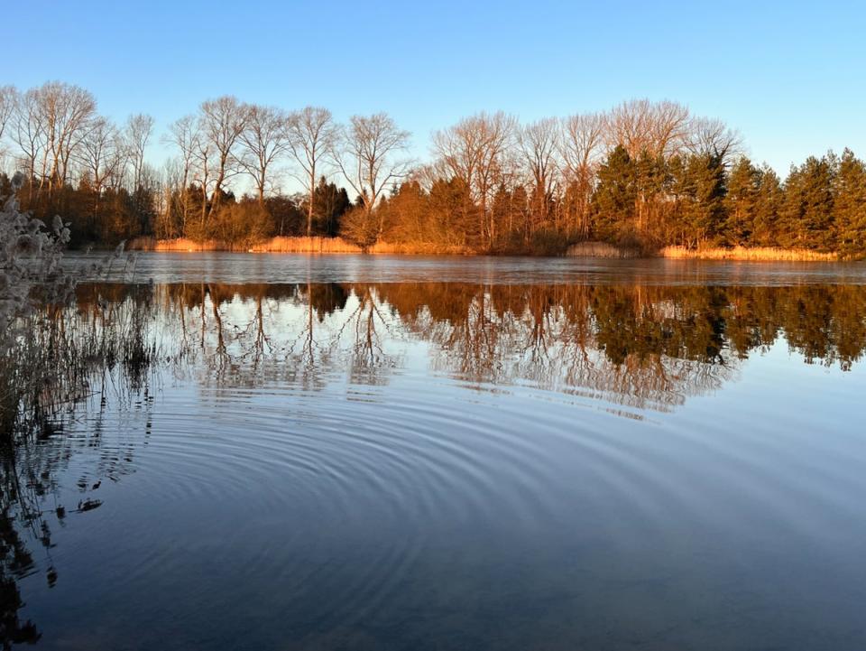 The River Wissey could be contamined, it’s feared (Getty Images)