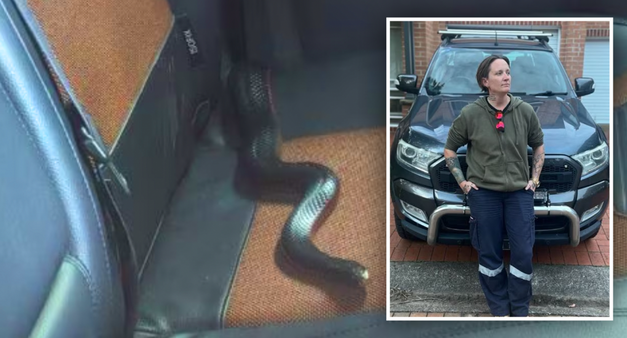 Lisa Kournelis is pictured beside an image of the red-bellied black snake that she found in her ute. 