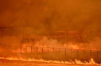 <p>Firefighters work as flames from the County Fire move through a property in Guinda, Calif. on July 1, 2018. (Photo: Josh Edelson/AFP/Getty Images) </p>