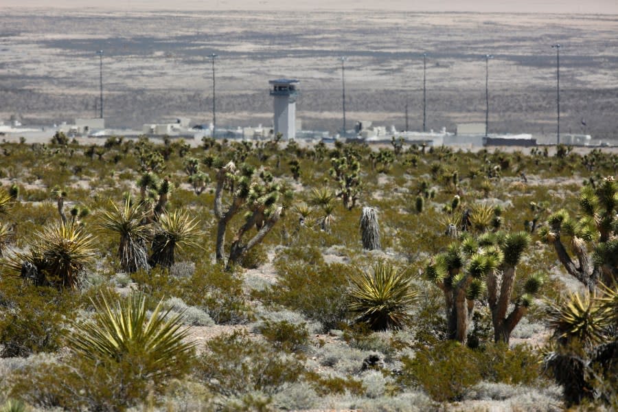 <em>FILE – In this April 15, 2015, file photo, vegetation grows around High Desert State Prison in Indian Springs, Nev. (AP Photo/John Locher, File)</em>