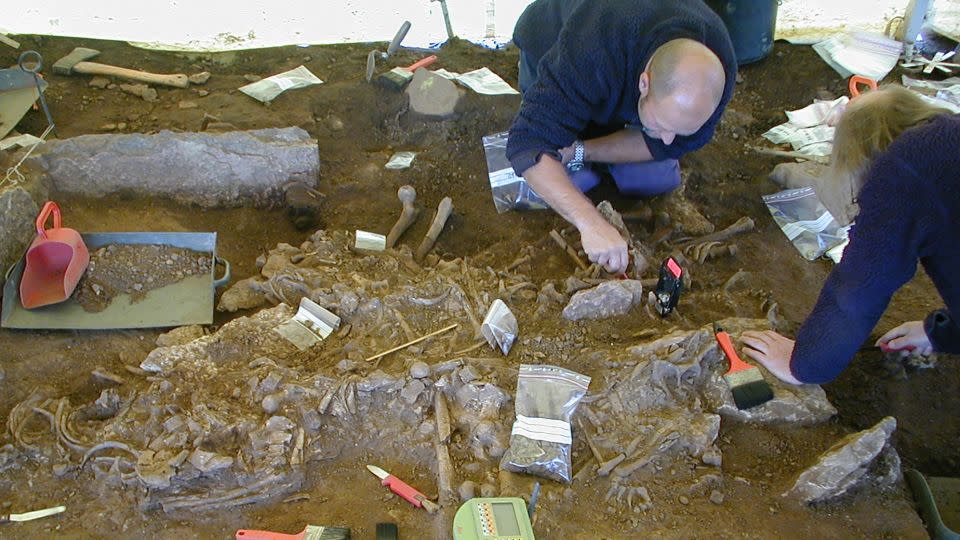 Archaeologists excavate a grave in Frälsegården, Sweden, in 2001. DNA extracted from some bones revealed the presence of the bacteria that causes plague.  -Karl-Göran Sjögren