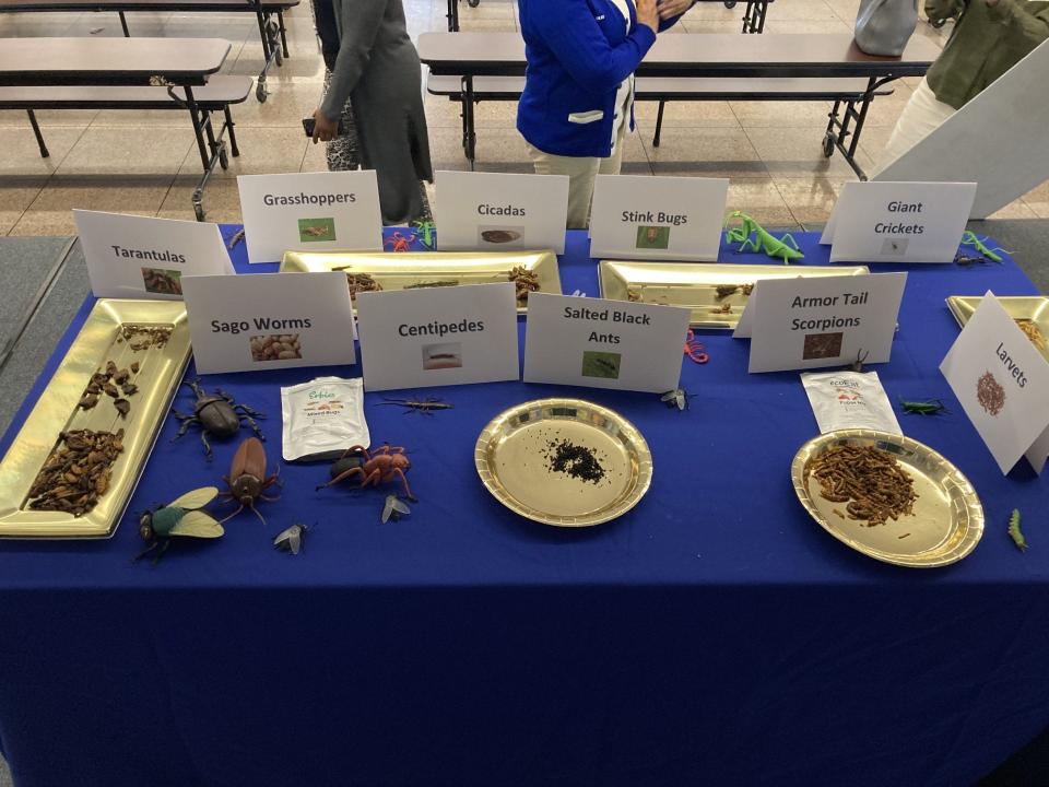The "bug buffet" at Whitehaven Elementary STEM School on Monday morning.