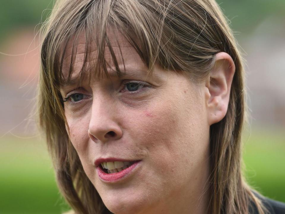 Jess Phillips was among the Labour MPs condemning Mr Lewis' comments (PA)