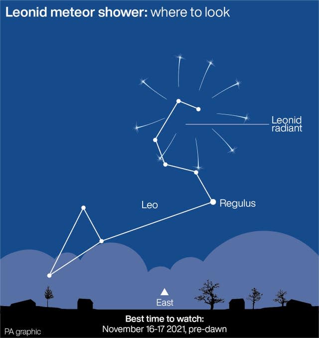 SCIENCE Leonids