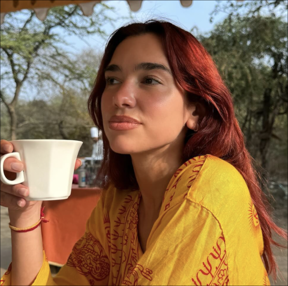Dua Lipa Posing With an Elephant in India Is New Year's Eve Goals