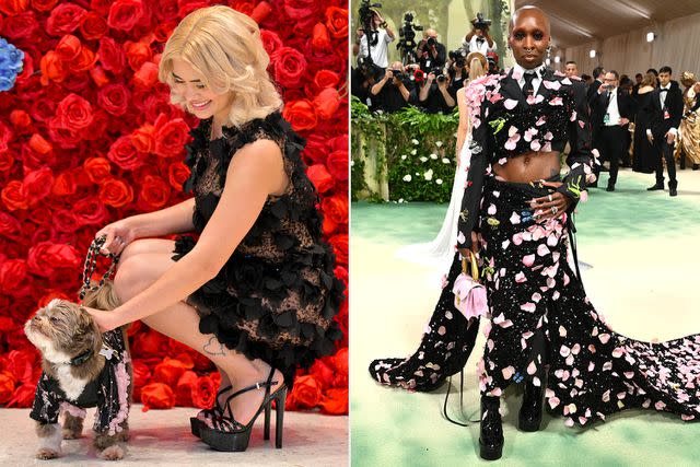 <p>John Ricard; ANGELA WEISS/AFP via Getty Images</p> Henry the Shih Tzu at the Pet Gala (left) and Cynthia Erivo at the 2024 Met Gala