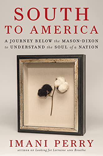 42) <em>South to America</em>, by Imani Perry