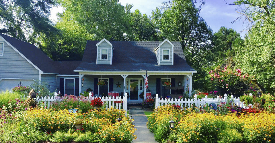 This image provided by American Meadows Inc. shows a lush wildflower meadow growing in place of a residential lawn. (American Meadows Inc. via AP)