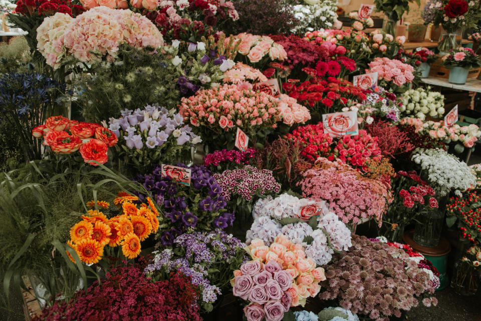 flowers at a florist's shop