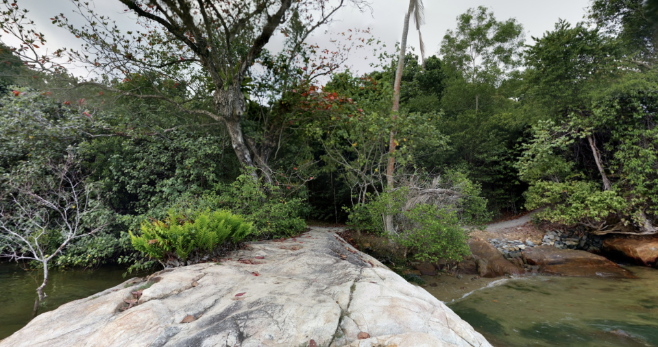 Screenshot of Chek Jawa Wetlands on Google Street View