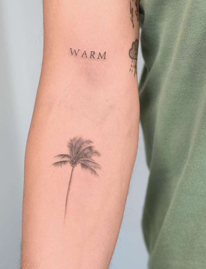 Miami: Palm Trees