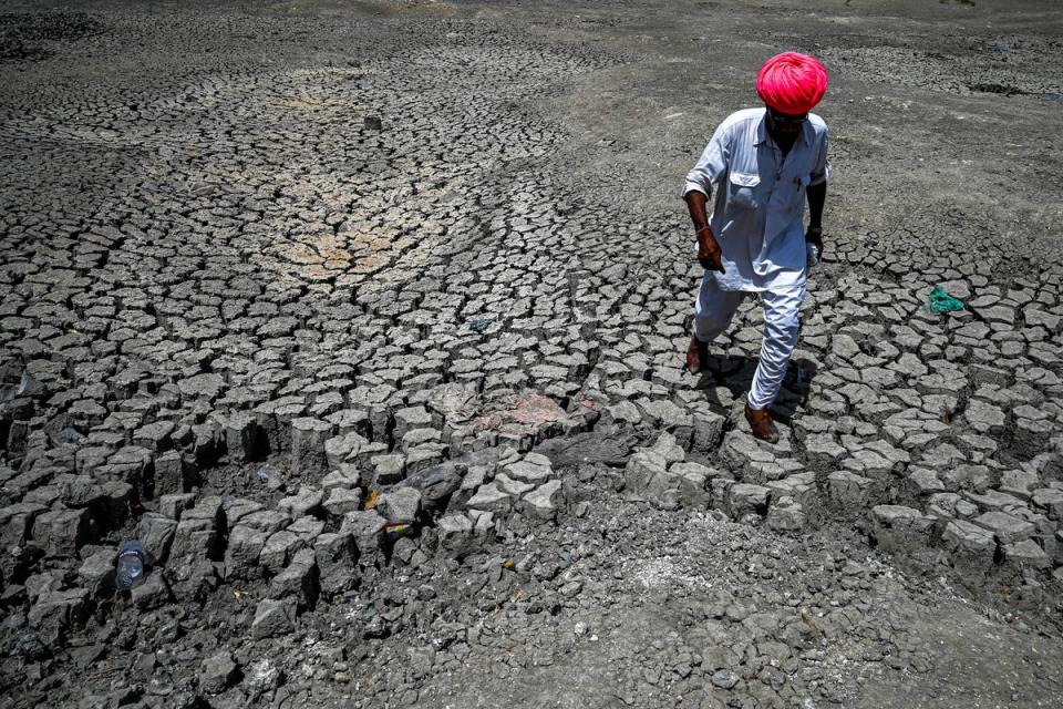 India’s heatwave was followed by a drought in several regions that further impacted agricultural production (AFP/Getty)