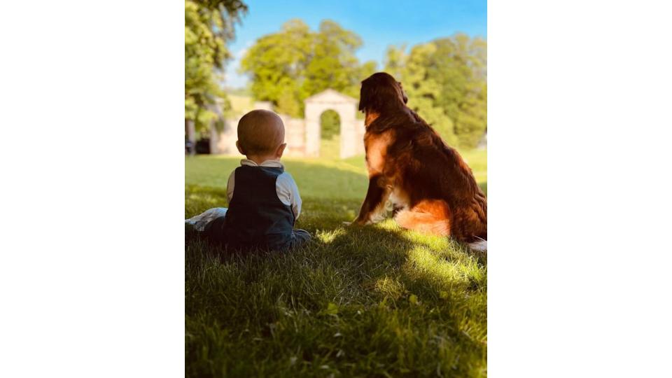 Inigo and his fluffy companion look out over the field