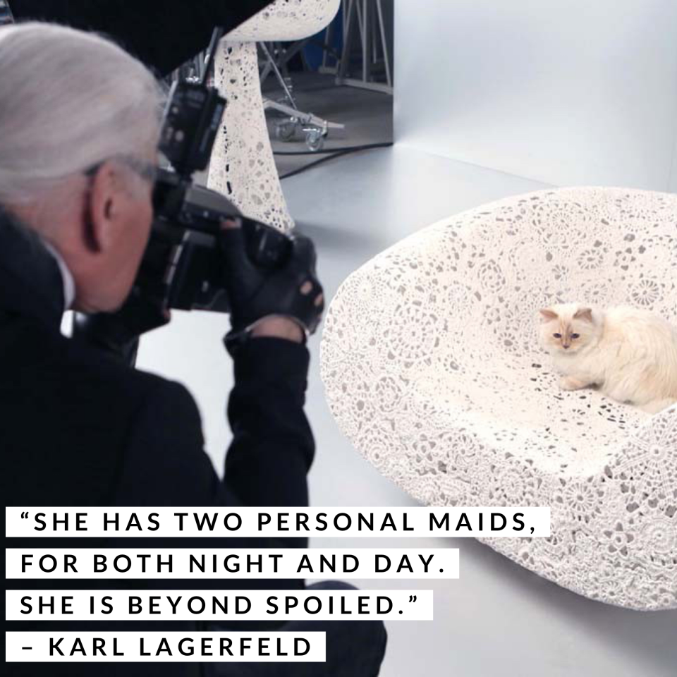 Karl Lagerfeld photographing his cat, Choupette.