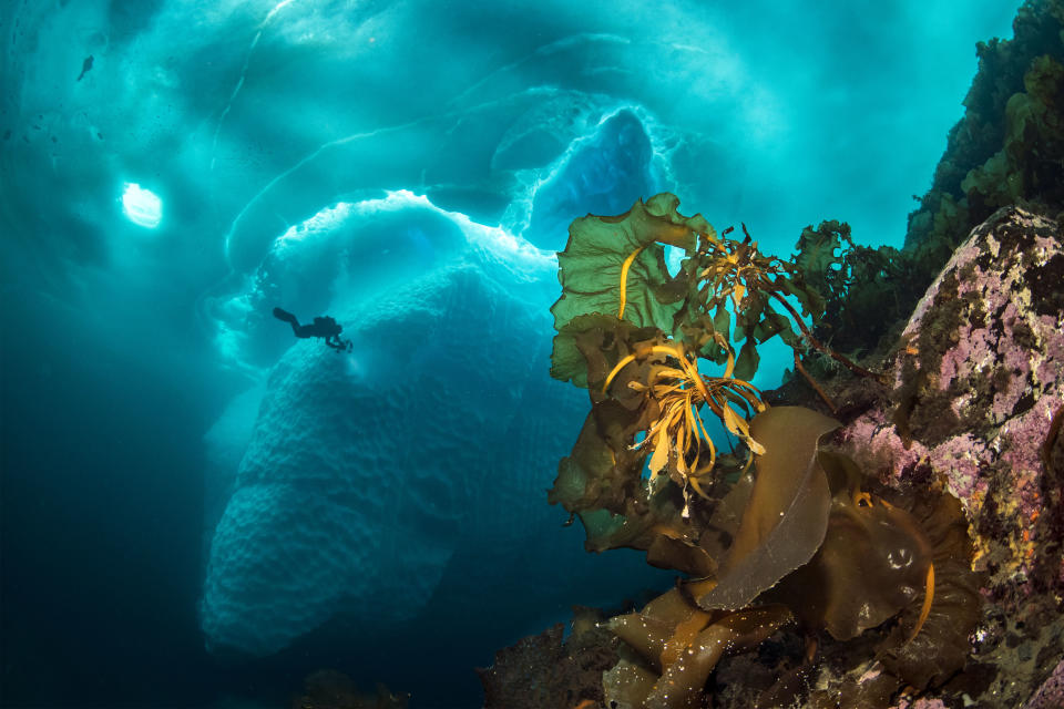 Unas fotos impresionantes muestran cómo es bucear bajo un iceberg gigante