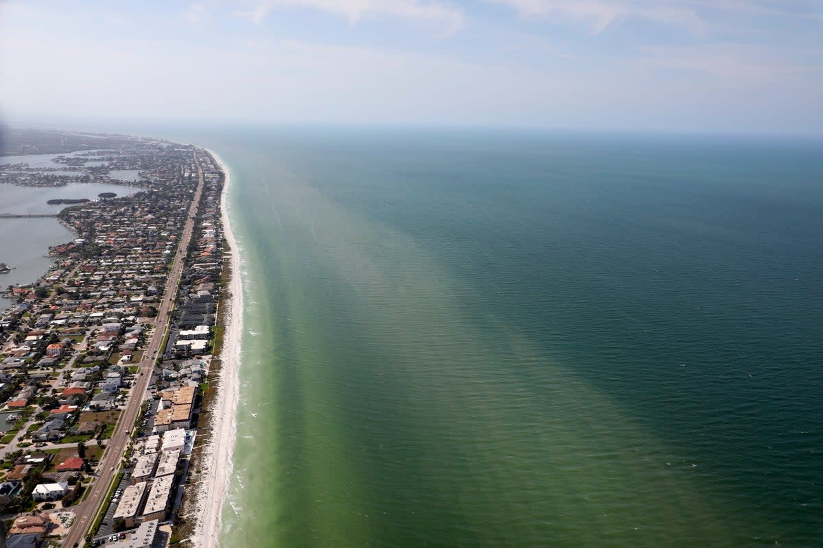 Red tide is observed near Pinellas County beaches off Redington Beach (Tampa Bay Times)