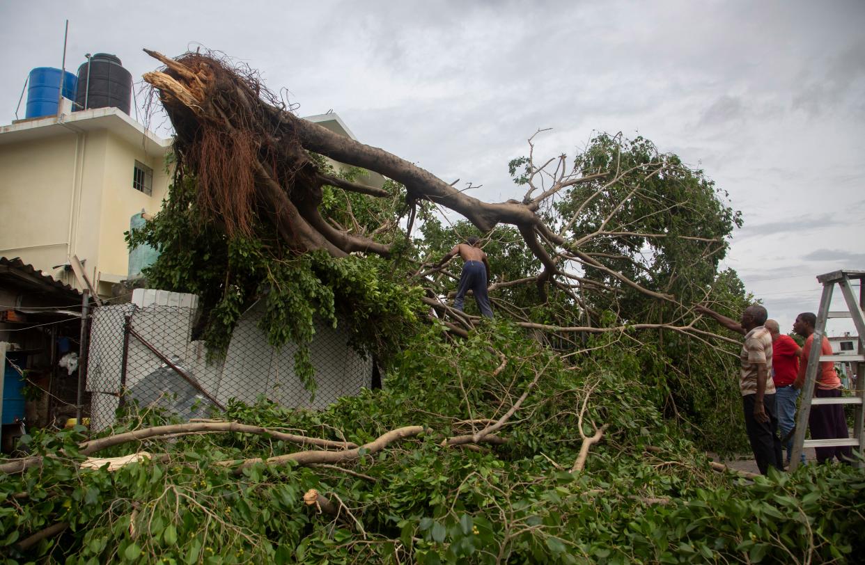 Residents work to remove a tree felled by Hurricane Ian in Havana, Cuba, Wednesday, Sept. 28, 2022. 