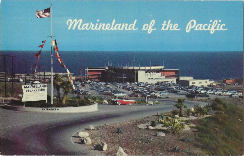 Postcard shows entrance to Marineland, with 1950s-era cars in the parking lot and the blue ocean in the background