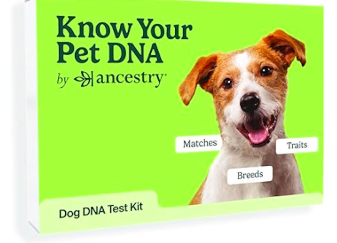 Know your pet DNA. <p>Amazon</p>