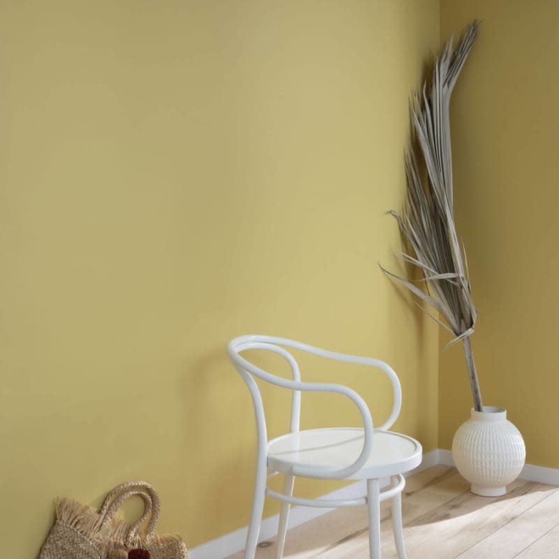 Beige yellow paint with white chair and large palm frond