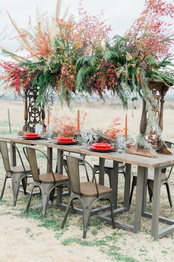 Table, Furniture, Outdoor table, Botany, Plant, Flower, Tree, Chair, Room, Outdoor furniture, 