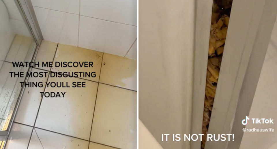 A photo of grime and tobacco in a renter's shower in her and her husband's Gold Coast home. A photo of the buildup of cigarette butts inside one of the panel's of a shower.