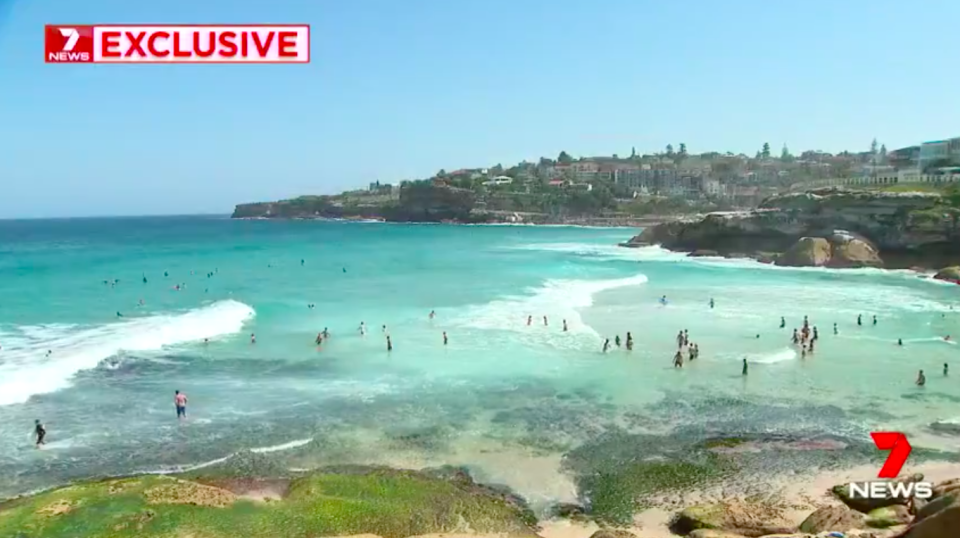 The shark sighting shark occurred at Tamarama Beach, one of Sydney’s most popular beaches, at about 6am on Tuesday. Source: 7News