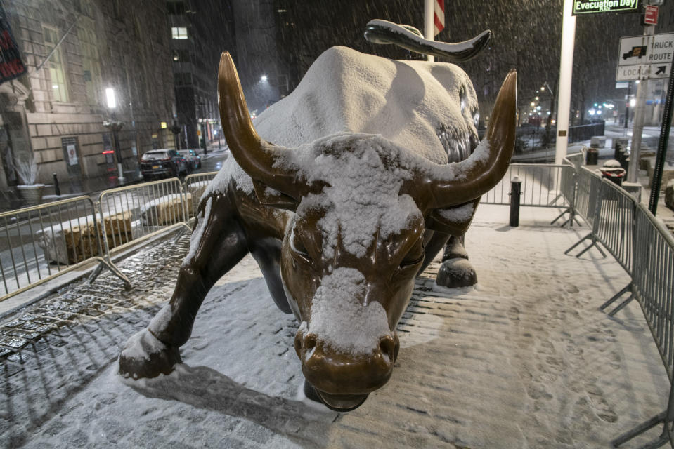 NEW YORK, NEW YORK - JANUARY 31: The bull of Wall Street is seen during the pass of the snowstorm on January 31, 2021 in New York City. New York City Mayor Bill de Blasio declared a state of emergency order due to the arriving storm that"u2019s expected to wallop New York, where airports are expected to cancel the majority if their flights. (Photo by Eduardo MunozAlvarez/VIEWpress)