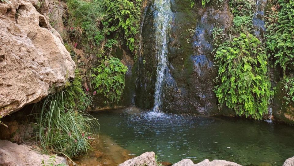 Sitting Bull Falls Recreation Area found at the Lincoln National Forest in Carlsbad, New Mexico