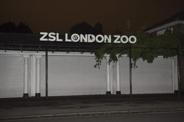 Teens break into London Zoo and film themselves with animals