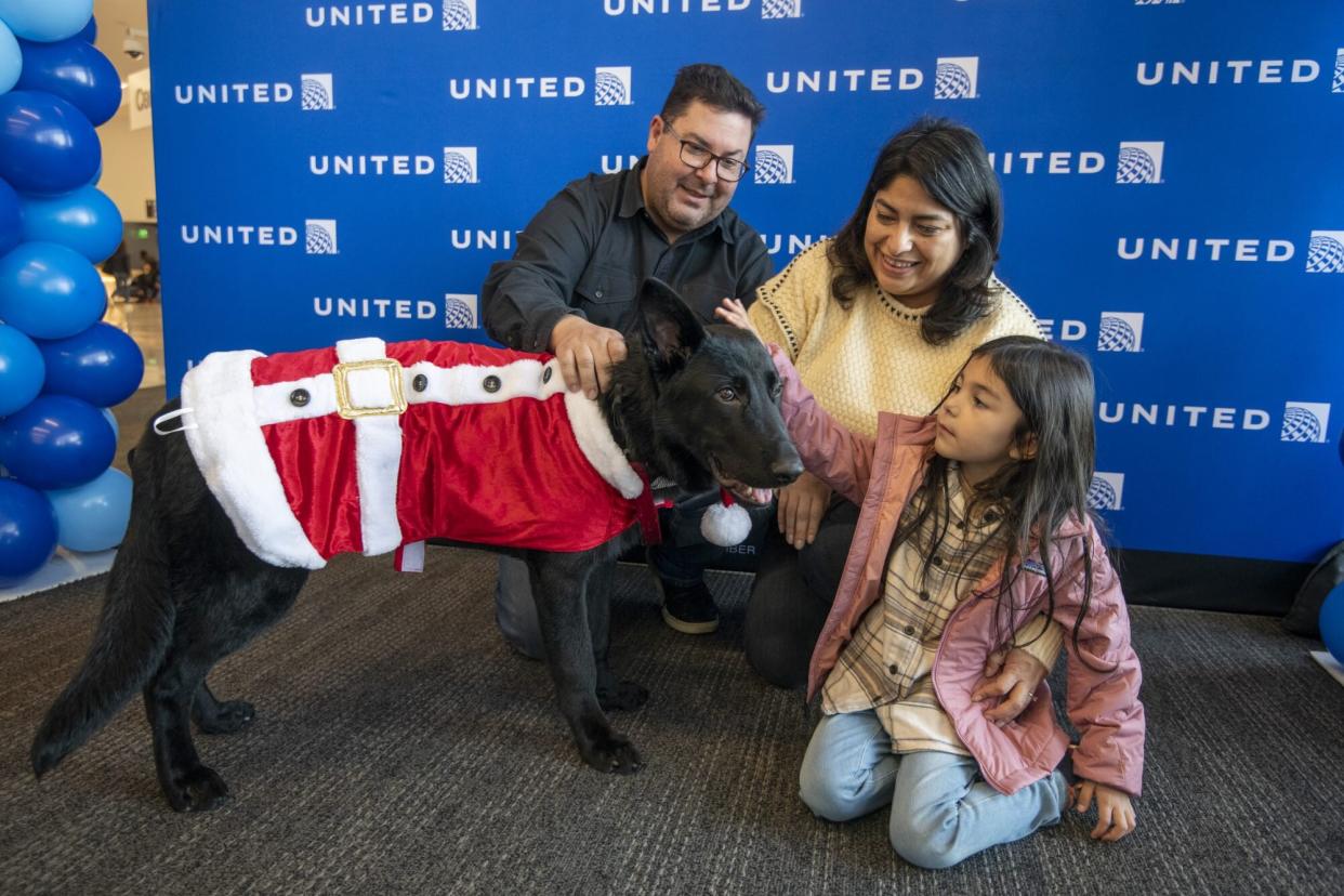 Dog abandoned at San Francisco airport finds forever home with a pilot