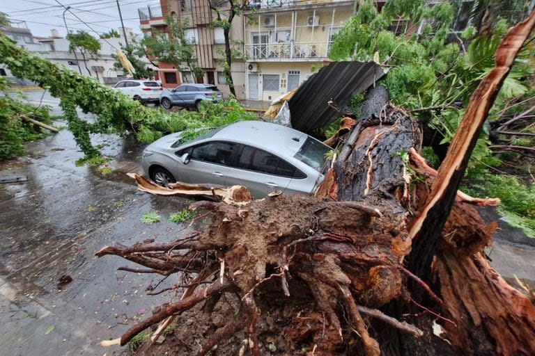 Un árbol caído sobre un auto en Concordia al 1400, en Villa Santa Rita.