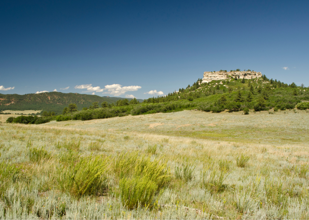 A view of a prairie in Douglas County, Colorado.