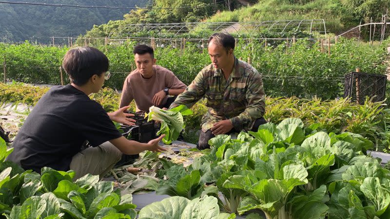 石磊部落小農教導北科大學生如何判斷蔬菜生長狀態及正確採收。（北科大提供）