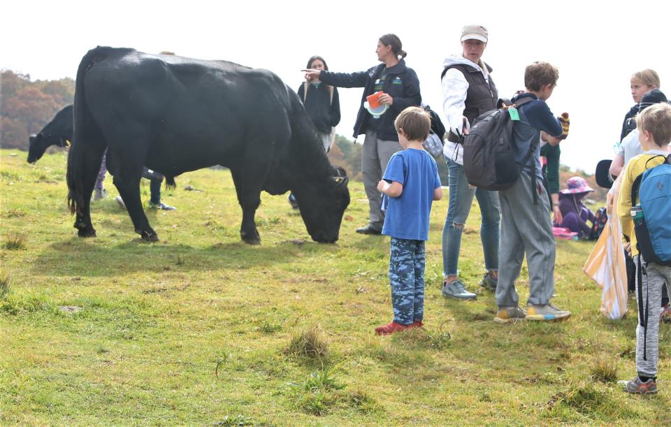 Students with FernLeaf Charter School make their annual hike to the top of Bearwallow Mountain on Oct. 11.