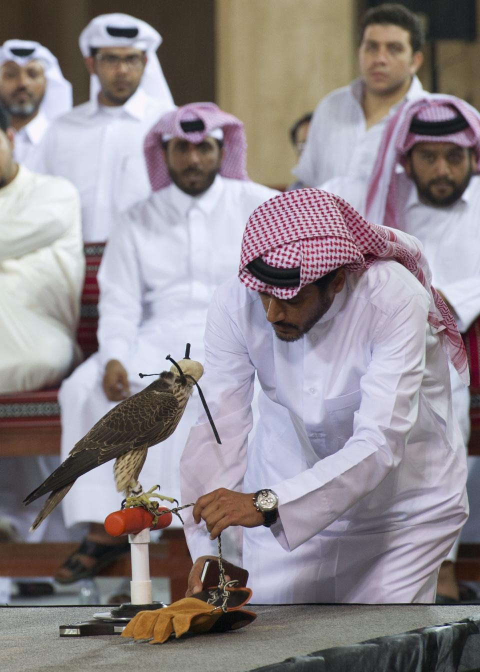 A falcon is weighed during the First Annual Souq Wajif Falcon Auction in Doha, Qatar, October 31,2013. More than 150 falcons from around the Gulf region, including Egypt and Iran, were auctioned during a two-day event that brought in breeders from all over the Gulf Cooperation Council countries. Picture taken October 31, 2013. REUTERS/Stephanie McGehee (QATAR - Tags: ANIMALS SOCIETY TRAVEL)