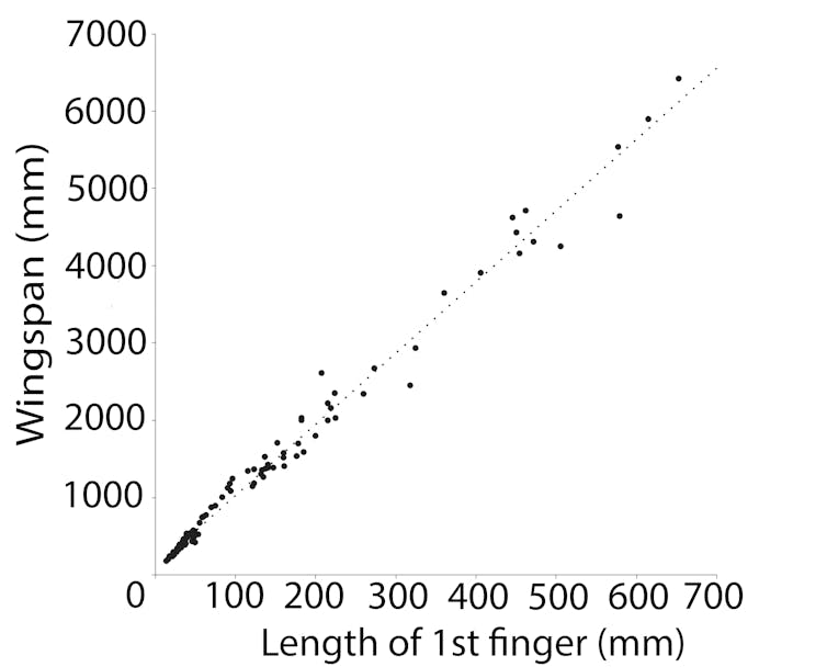 Extrapolation: Scientists found a 99% correlation between the length of the first finger and the wingspan of pterosaurs