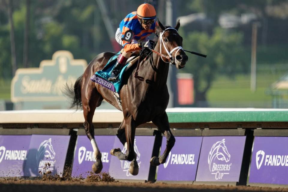 John Velazquez rides Fierceness to victory in the Breeders’ Cup Juvenile at Santa Anita Park last November. Fierceness is fourth on the qualifying leaderboard for the American Road to the Kentucky Derby.