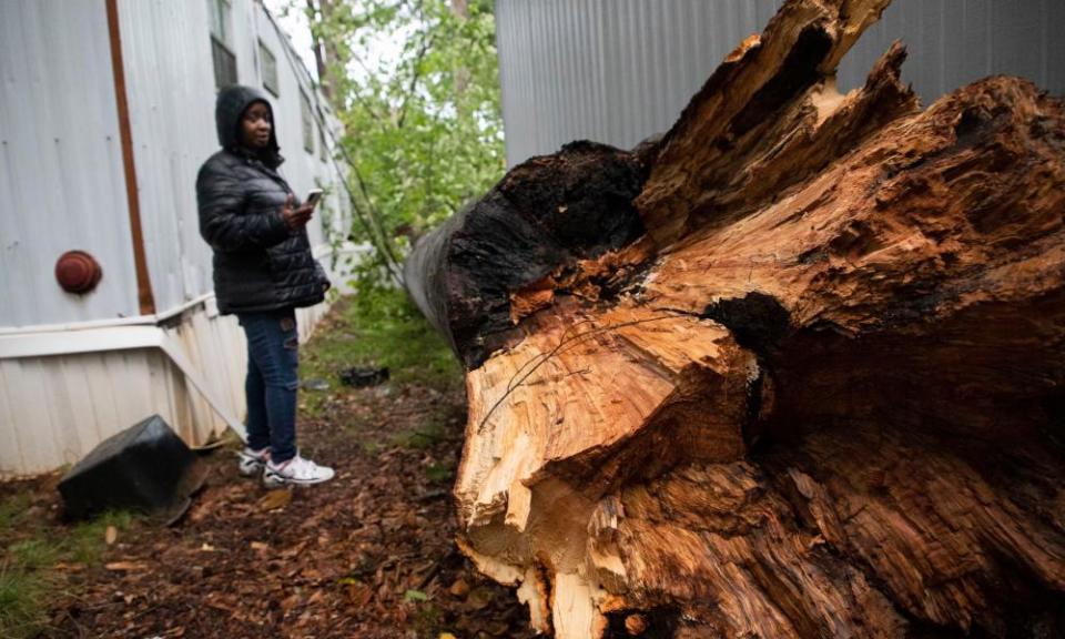 A person inspects a tree fallen in Shady Grove mobile home park in Charlotte, North Carolina.