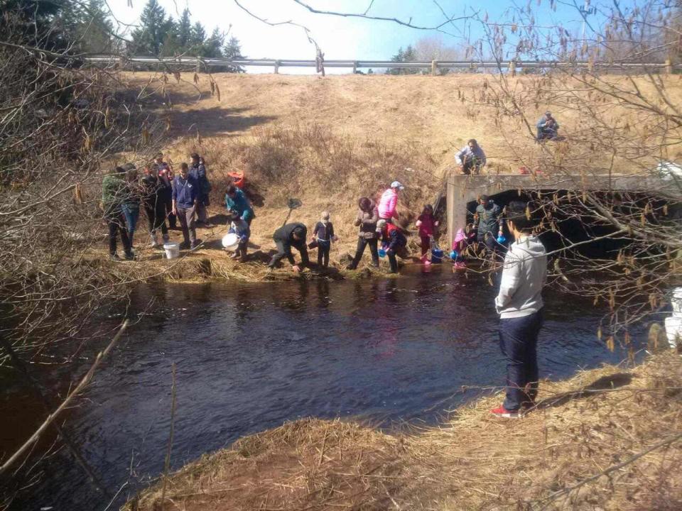 Smelt fishers at Clarks Creek in 2017 