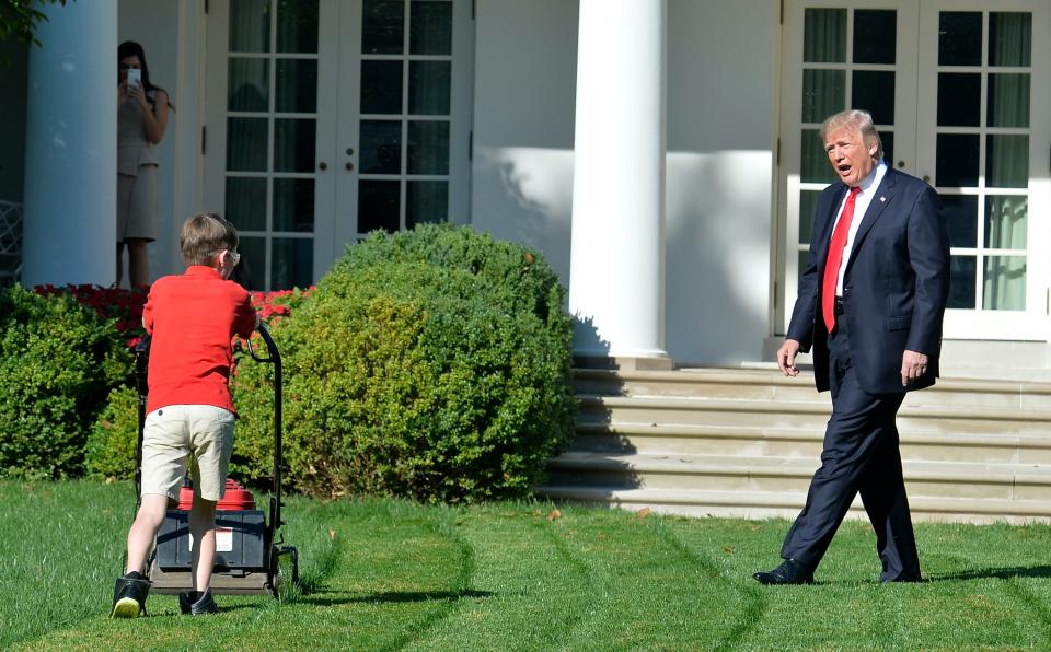 trump lawnmower