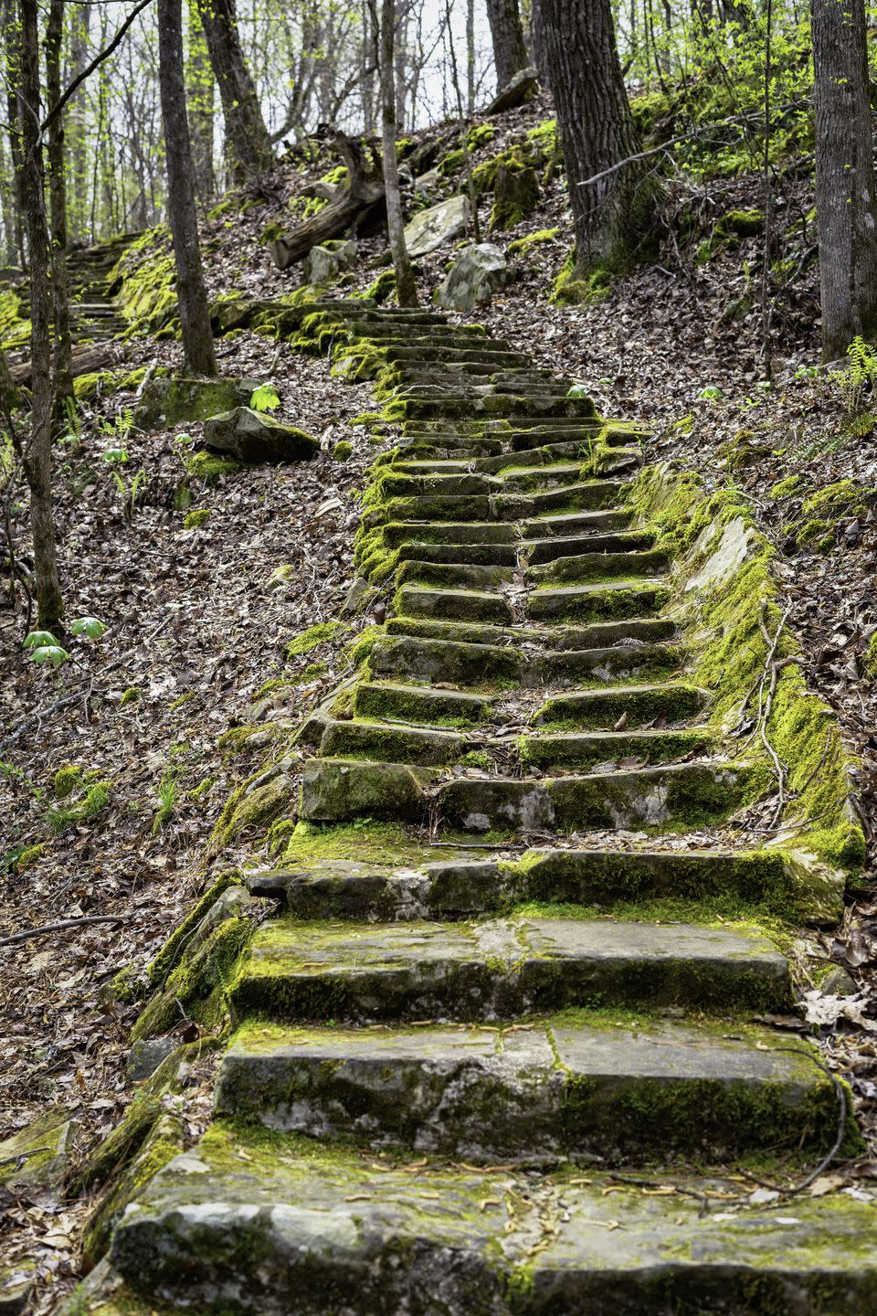 Mississippi: Bear Creek Outcropping Trail